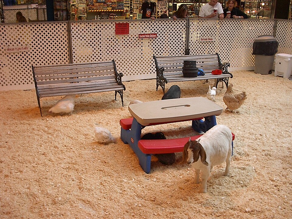 Kinderboerderij Dijkstraat