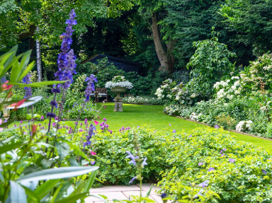 Lezing: van snoeien tot bloeien – het geheim van een blijvend mooie tuin — lezing in Veenendaal